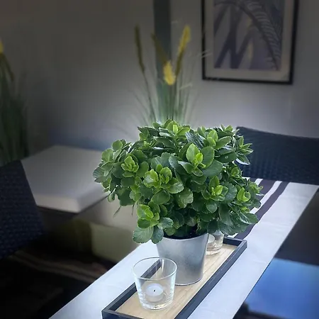 Paradies Hella Semesterbostad