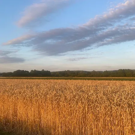Paradies Hella Semesterbostad Kippenheim